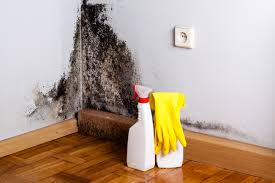 Best Industrial Mold Remediation  in Muenster, TX